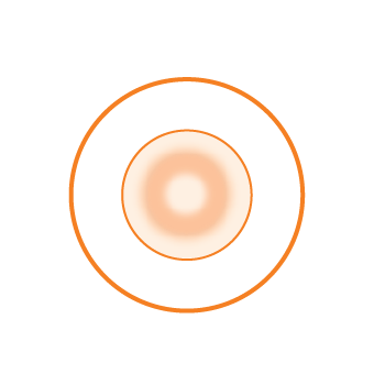 bpt-2d-proclear-orange