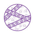 aft-icon-biofinit-purple