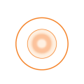 bpt-2d-proclear-orange
