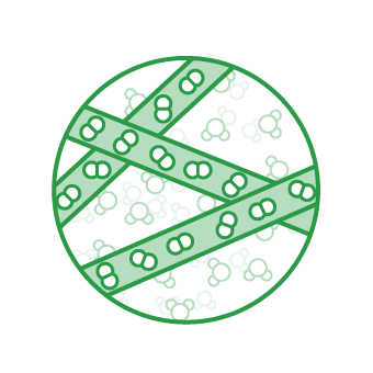 aft_icon_myday_green-340x340