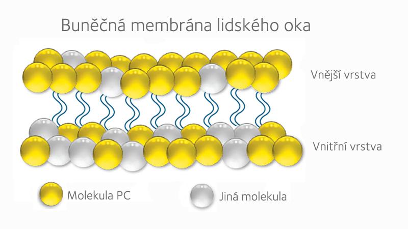 pc-molecule